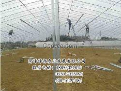 山东温室骨架批发商 温室骨架厂家