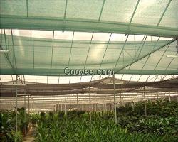 三针遮阳网_园林遮阳网大量_金耀捷