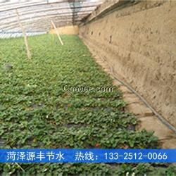 張家口大棚草莓膜下滴灌施工報價