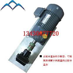 惠州高品質(zhì)齒輪計量泵加電機組合配套 可配
