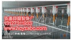 現(xiàn)代養(yǎng)豬設(shè)備料線