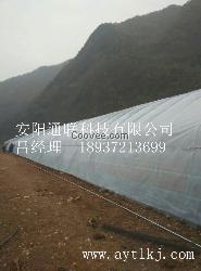 新型温室大棚建造商，供应新型蔬菜大棚材料